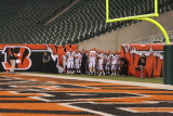 at paul brown stadium