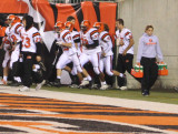 redskins