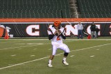 daniel drops back to pass