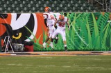 celebrating truesdell touchdown