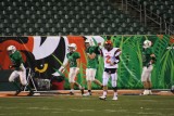 daniel celebrates td