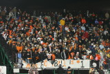 crowd celebrates touchdown
