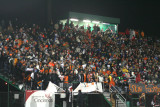 the fans