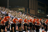 the fans