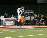 aylward interception