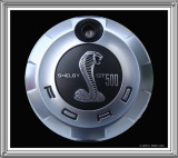 Mustang 2000s Shelby Cobra GT 500 Emblem.jpg
