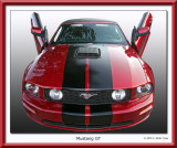Mustang 2000s GT Custom Irvine G.jpg