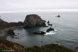 4-8-09 cove at base of Kings Ridge_4242.JPG