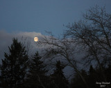 10-26-07 moonset_3332.JPG