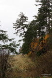 11-06-07 Bayview_4058.JPG