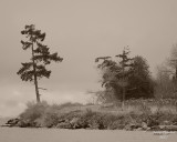 11-16-07 Marchs Point dirve view sepia_4030.JPG