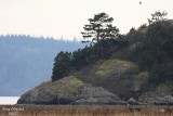11-30-07 Small Island _4744.JPG