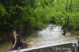 TN Flood 4.jpg