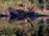 Dunbar Cave Lake