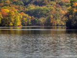 Radnor Lake 1