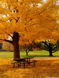 Fall at Ellington Agricultural Center 3