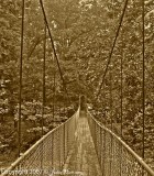 Swinging Bridge