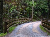 Road In The Woods