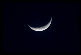 Cresent moon (one night late)