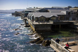 MontereyBayAquarium_Sm.jpg