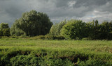 Green, grey..and a blue spot