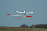 The red and white bird could fly