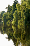 Zwierzyniec near Zamosc - 07.2009  - 029 .jpg