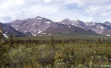 view in Denali National Park