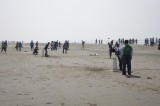 Cricket at Inani Beach.jpg