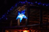Mermaid Cafe Scenery (3).jpg