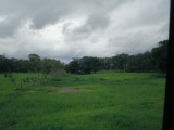 Farm Countryside Near Arenal (3).jpg