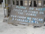 Coral Warning.jpg