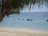 Scuba Trainers in Half Moon Bay.jpg