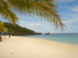 Roatan and La Ceiba