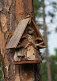Bird House