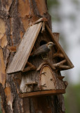 Bird House