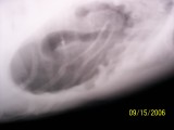 100_0155.JPG