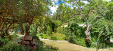 A secluded garden near the house