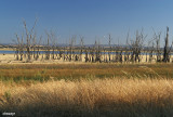 0009-lakemokoan.jpg