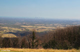 0048- Frank Thomson Reserve area, Kinglake