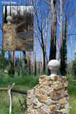 0039- (Barreges Pyreneans) after the fires and now