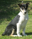freya_10wks