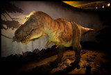 T-Rex - IMG_0908.jpg