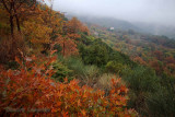 PELION  -  THE  MAGIC  MOUNTAIN  ...