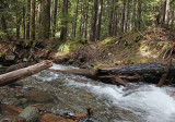 Beaver Bill Creek crossing