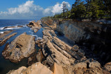 Low Tide At Shore Acres