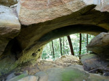 Mill Creek Arch