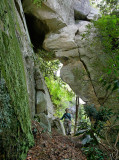 Chimney Top Arch