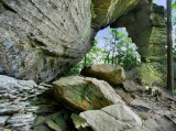 Suzanna's Arch