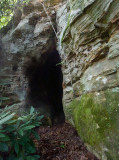 Horse Stable Arch